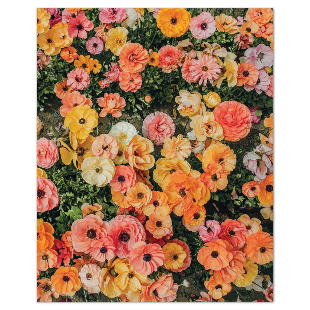 Toys & Games Arielle Vey's "Floral Daydream" - Crystal Acrylic Puzzle (150pc)